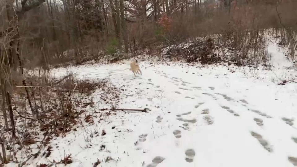 Casper